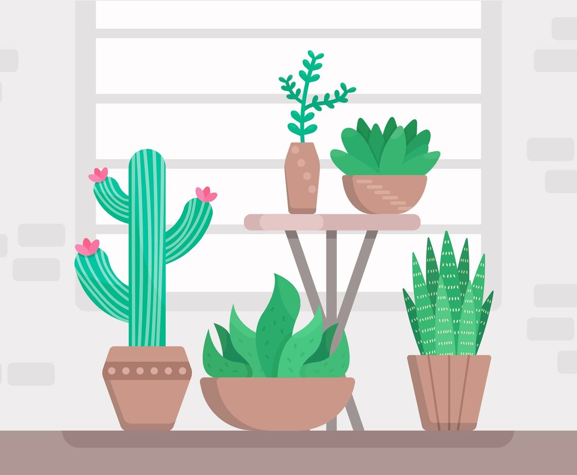 Succulents Vectors