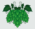 Hop Plant Vector Illustration