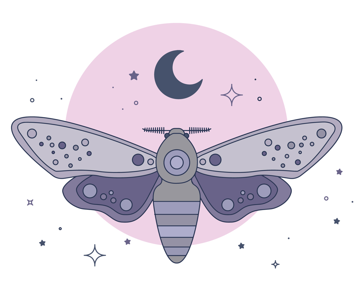 Moth Vector
