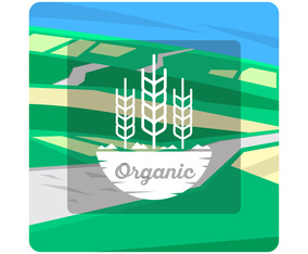 Minimal Poster Design