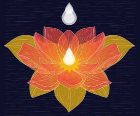 Vector Hand Drawn Lotus Illustration