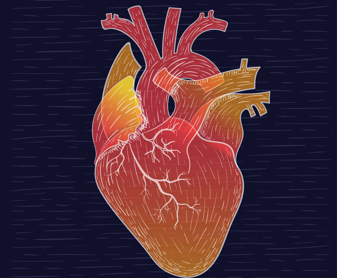 Vector Hand Drawn Heart Illustration