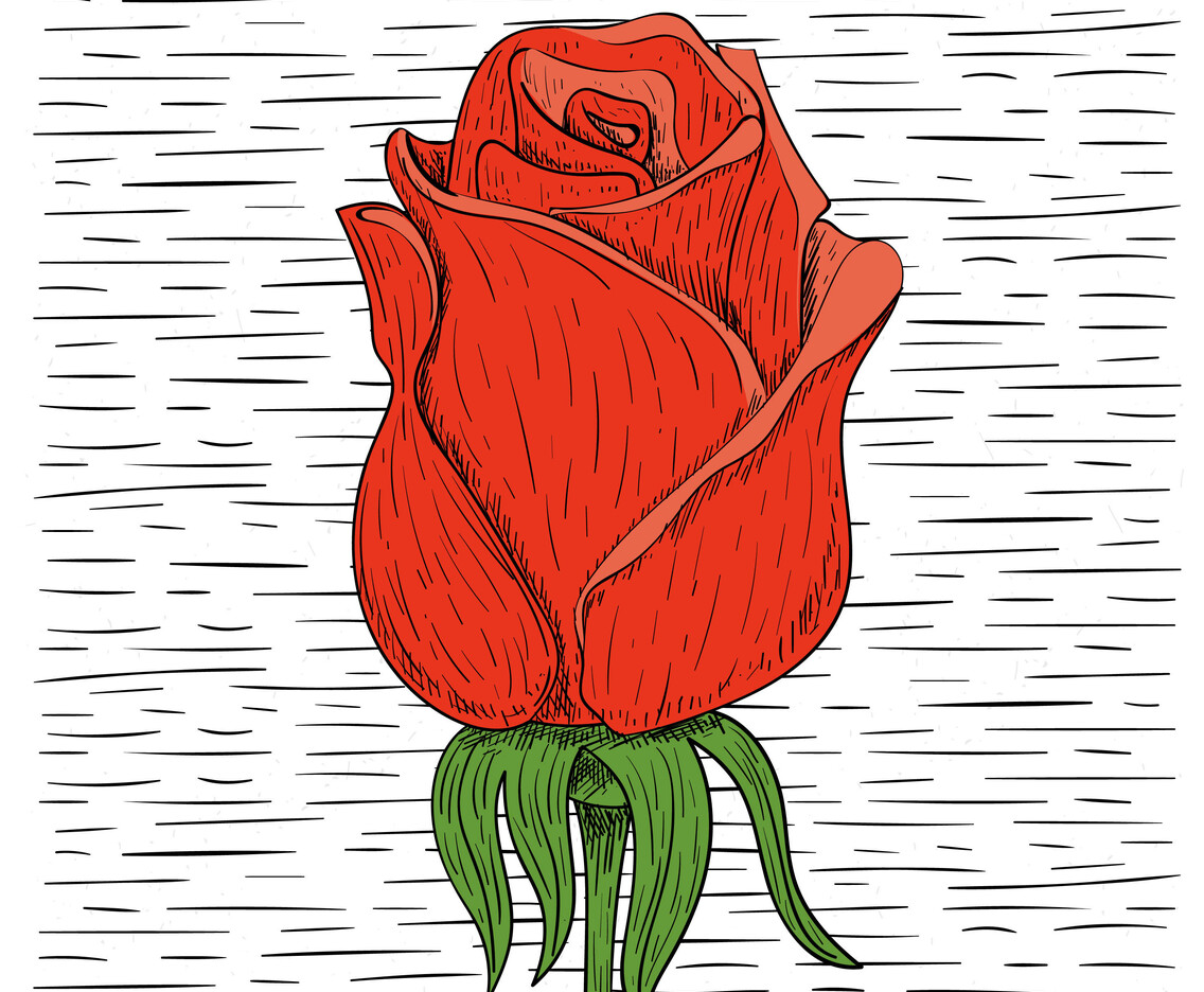 Vector Hand Drawn Flower Illustration