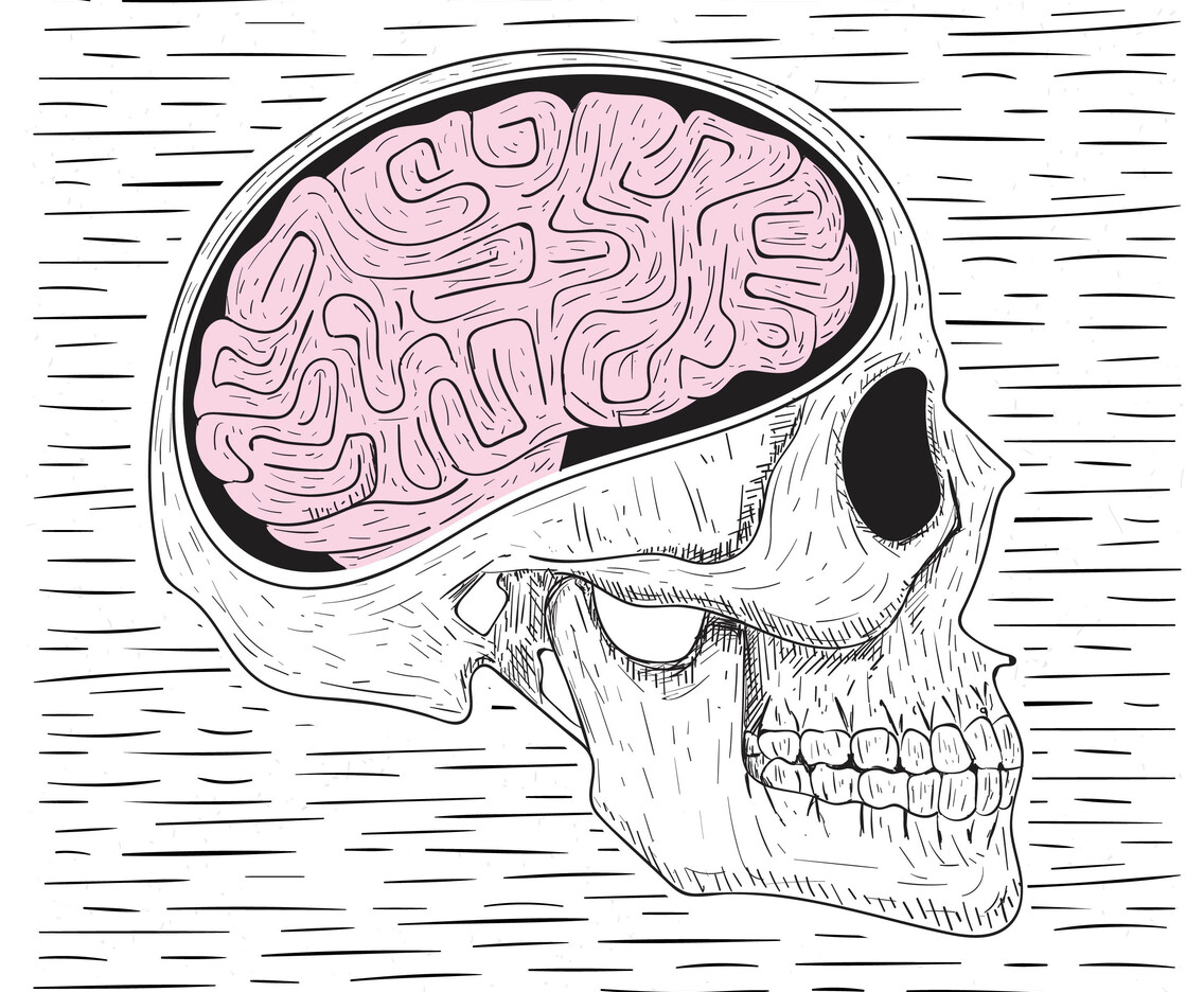 Vector Hand Drawn Skull