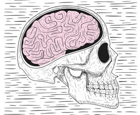 Vector Hand Drawn Skull