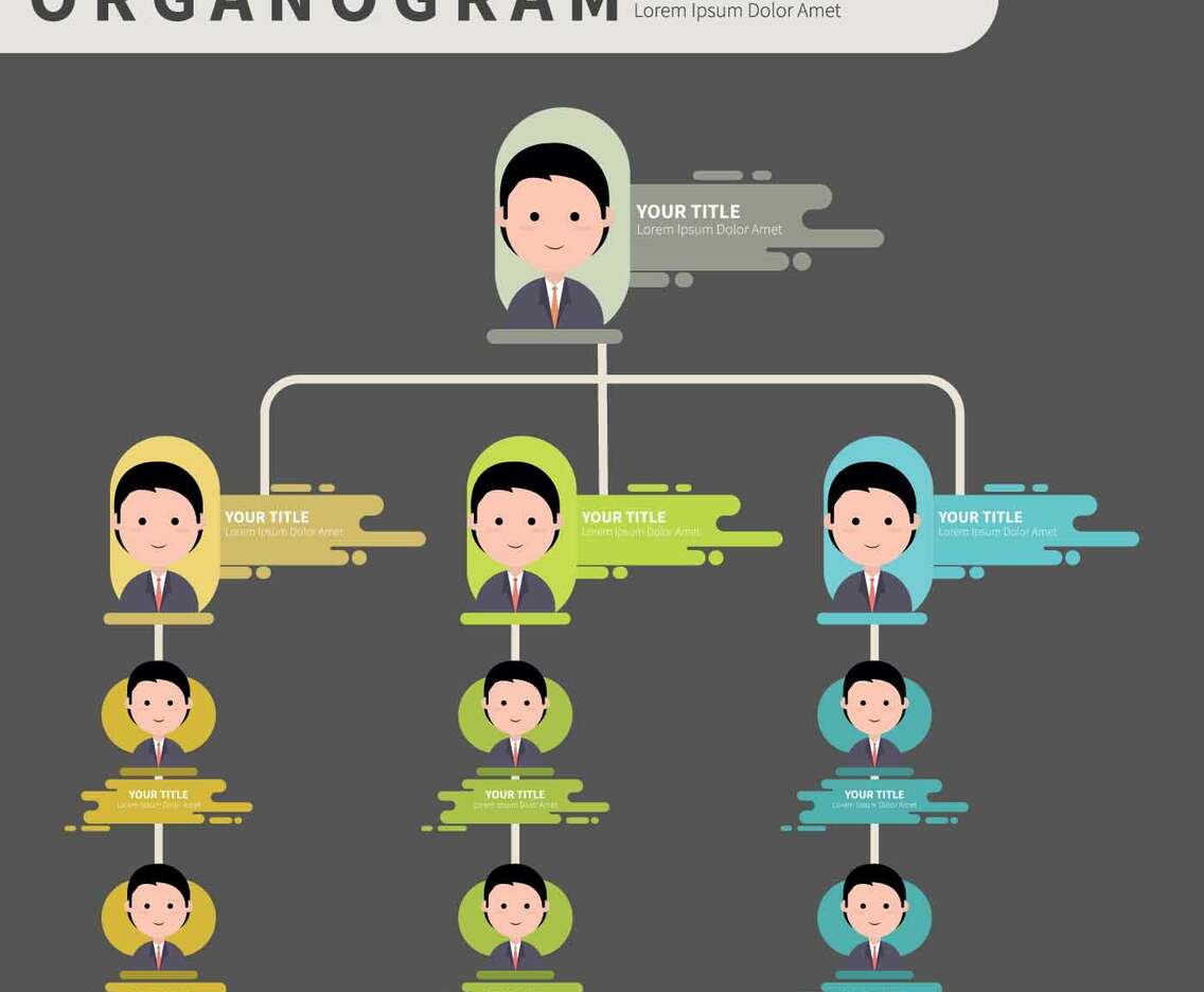 Organogram With Flat Style illustration
