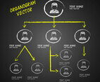 Organogram Chalkboard Vector Design