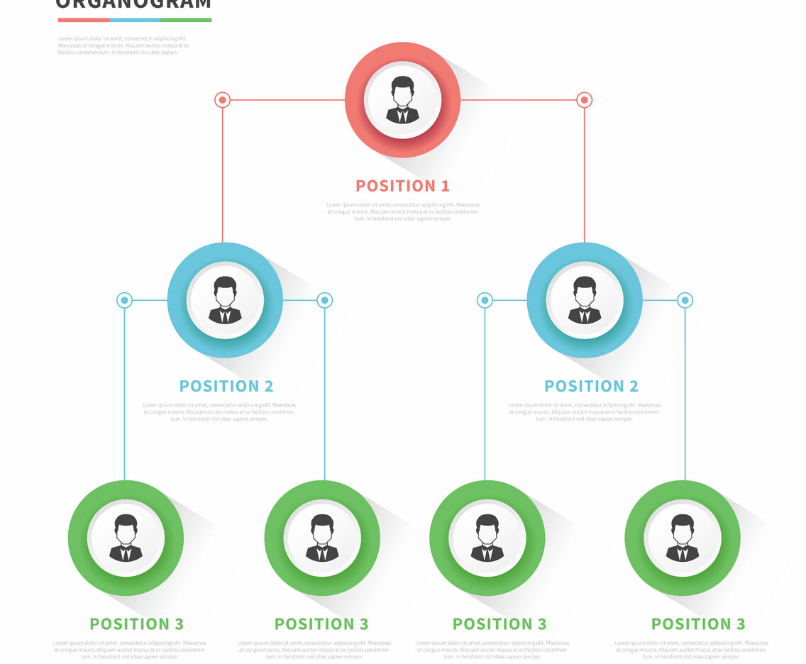Organogram Modern Vector Design