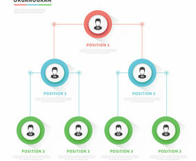 Organogram Modern Vector Design