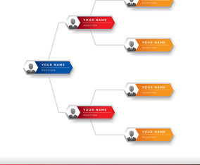 Organogram Template Vector