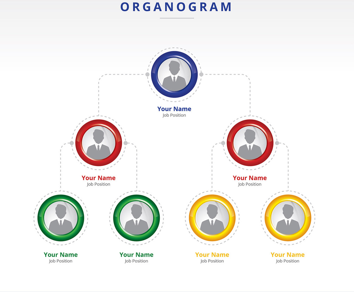 Organogram Layout Vector