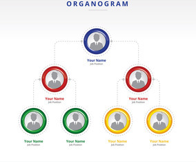 Organogram Layout Vector