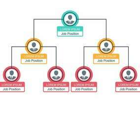 Business Organogram Chart