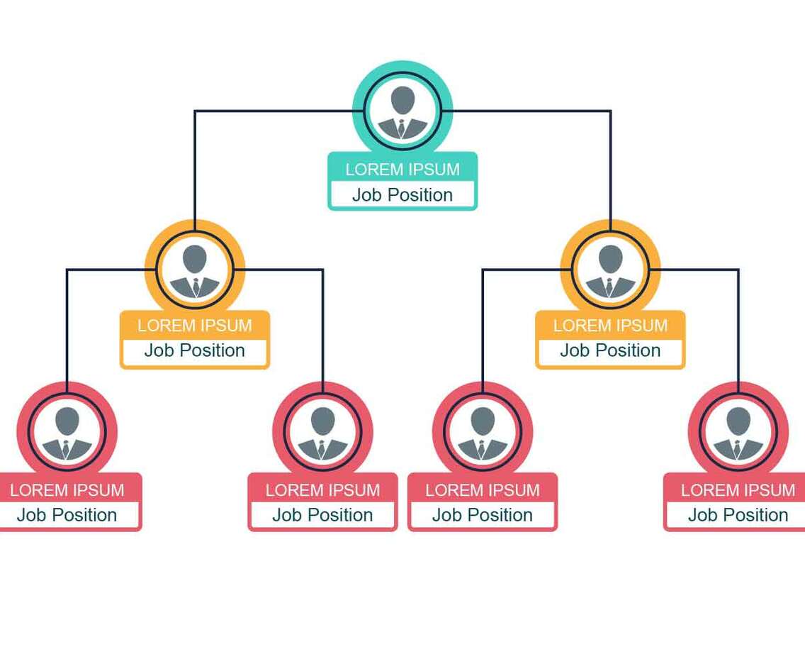Business Organogram Chart