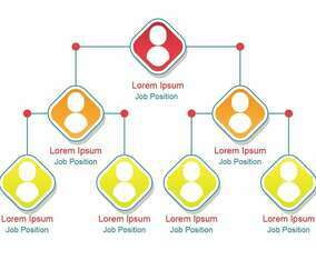 Business Hierarchy Organogram Chart