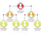 Business Hierarchy Organogram Chart