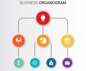 Business Organogram