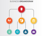 Business Organogram
