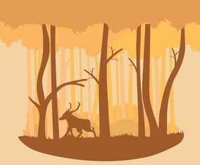 Warm Colour Abstract Forest Illustration