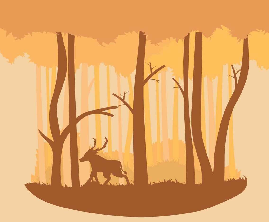 Warm Colour Abstract Forest Illustration