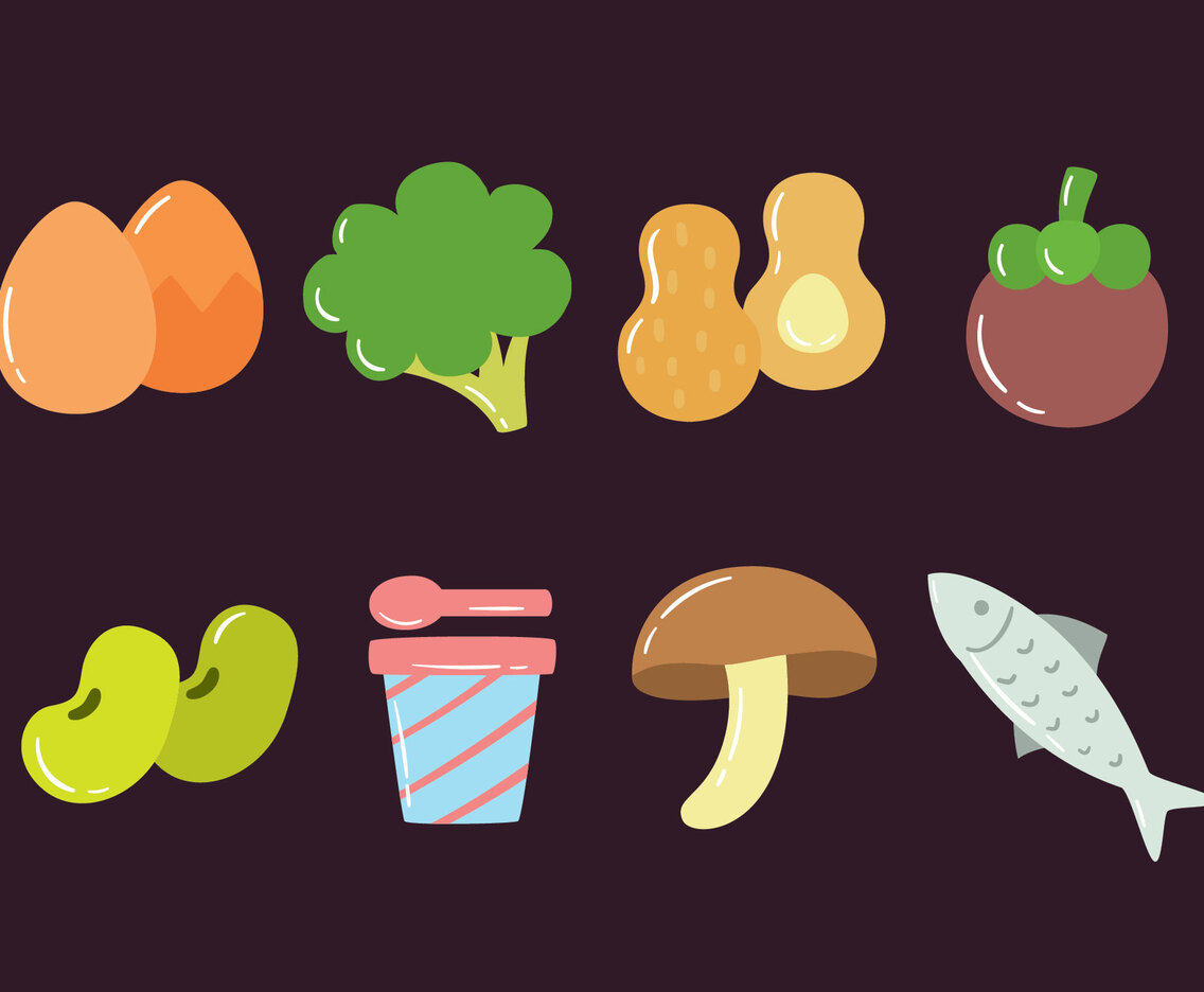 Super Foods Collection Vector