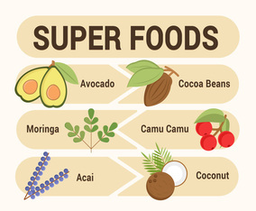 Super Foods Vector Illustrations