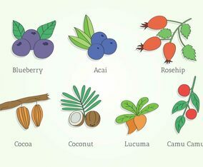 Super Foods Vector