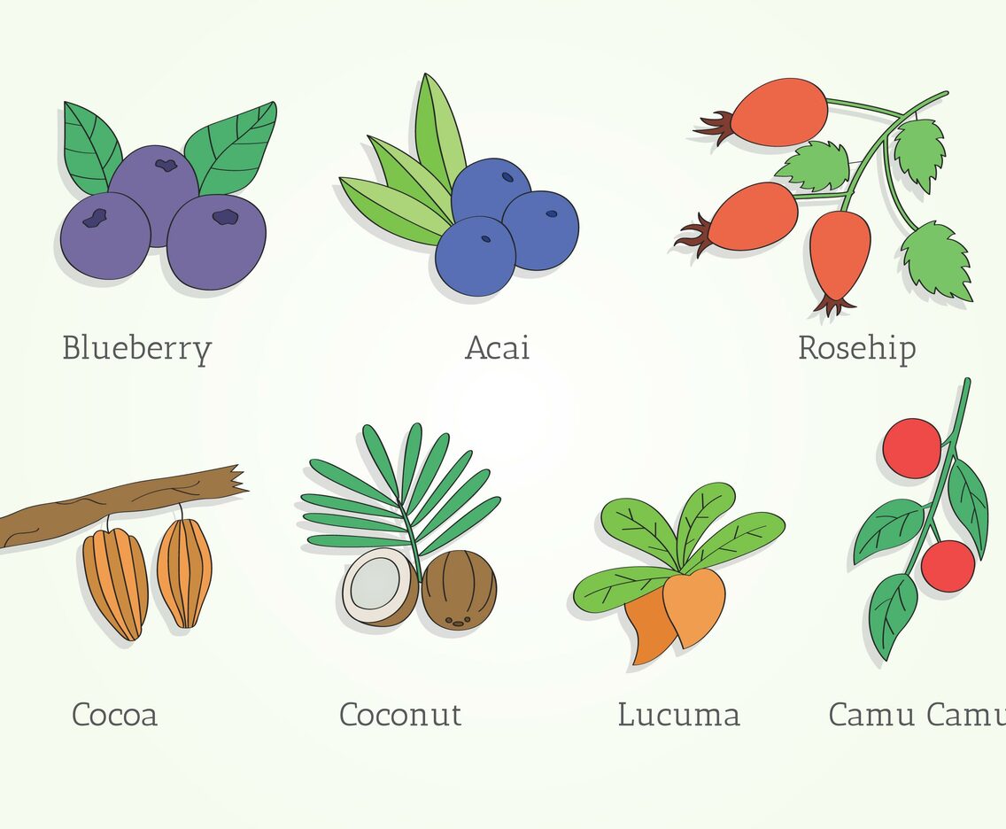 Super Foods Vector