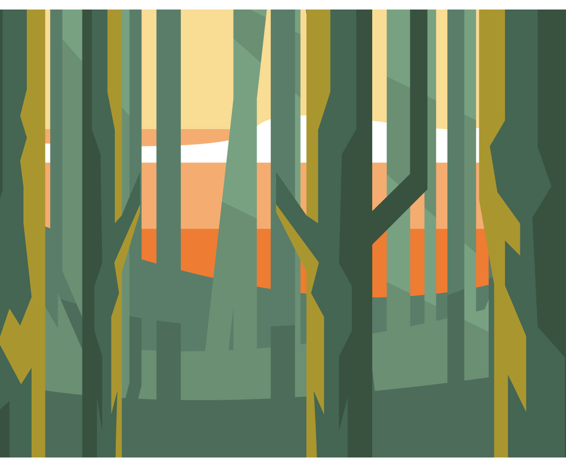 Low Poly Forest at The Afternoon