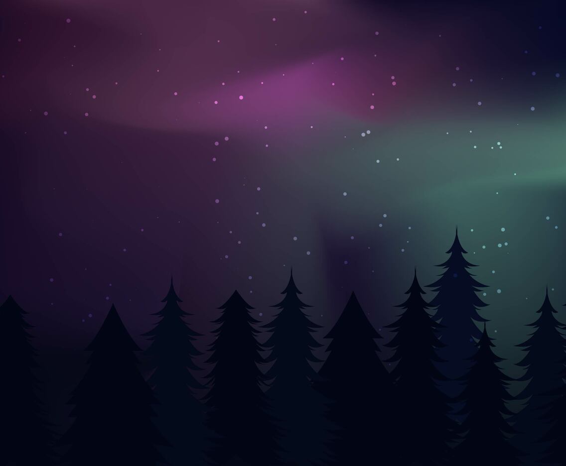 Northern Lights Landscape Vectors