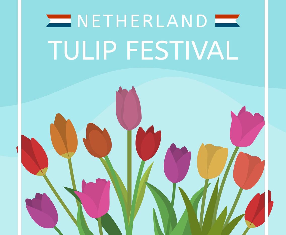 Flat Netherland Tulip Festival Vector Illustration