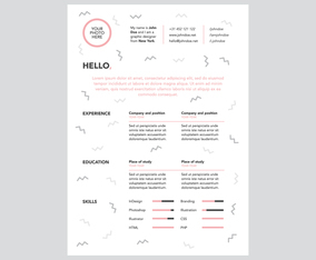 Super Funny Graphic Designer Curriculum