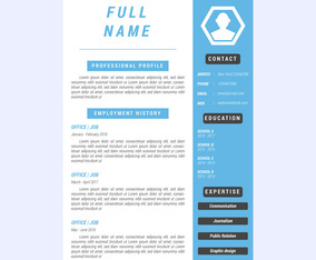 Iconic Corporate Resume Vectors