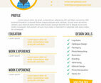 Unique Curriculum Vitae Graphic Designer Vectors
