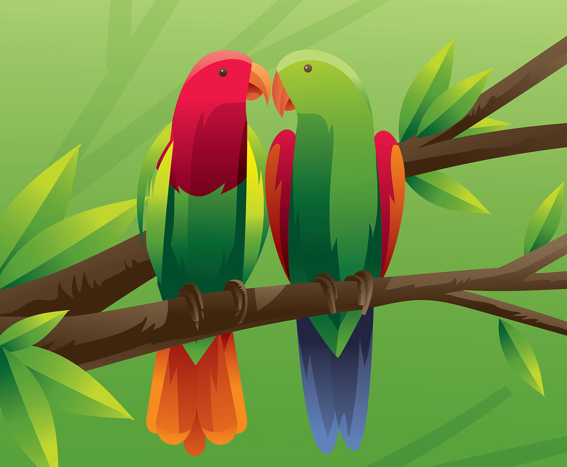 Parrots Couple Vector