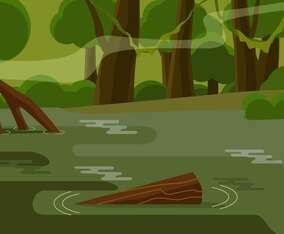 Bayou Illustration Vector