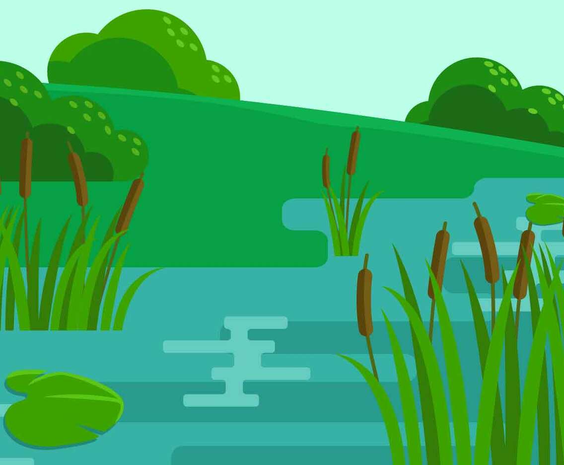 Marsh Scene Illustration Vector