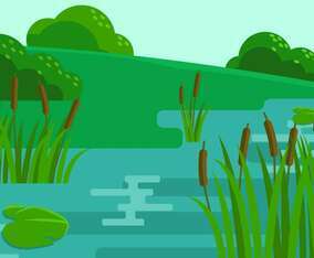 Marsh Scene Illustration Vector