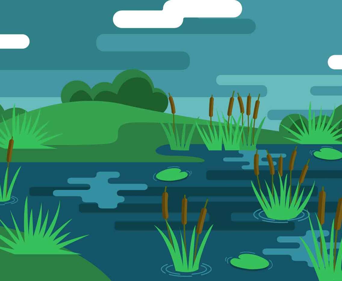 Marsh Illustration Vector