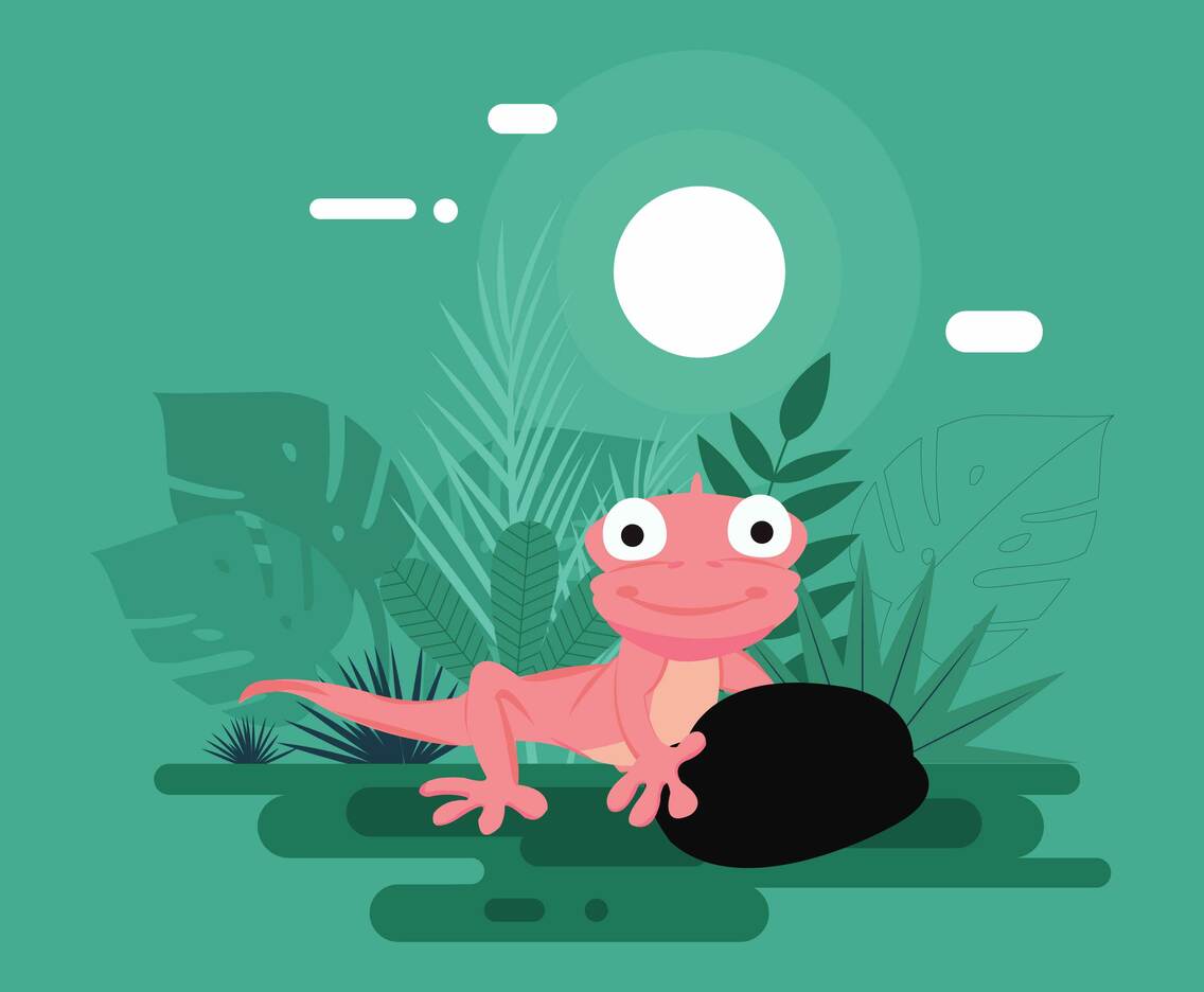 Chameleon Illustration