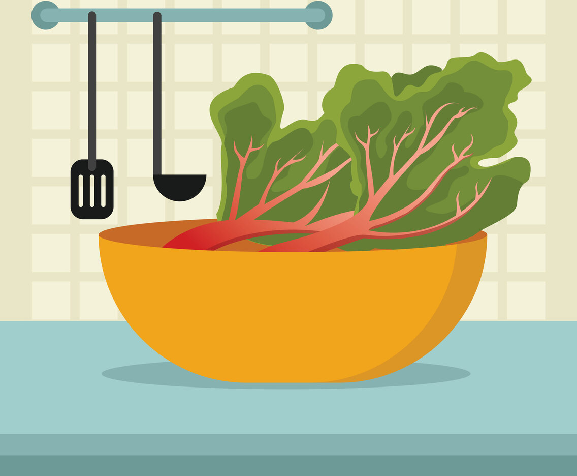 Fresh Rhubarb Vector Illustration