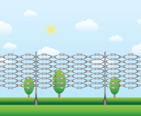 Razor Wire Landscape