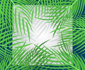 Tropical Vacation Card With Palm Leaves Illustration