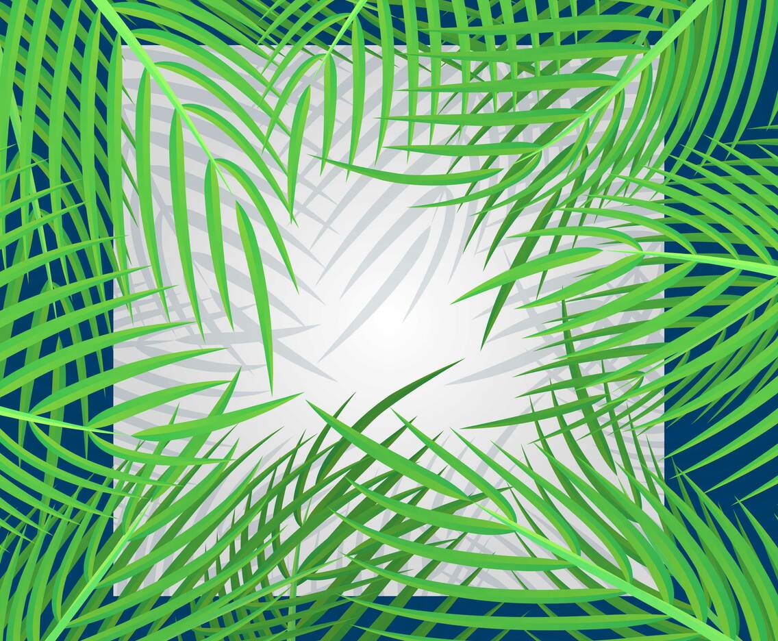 Tropical Vacation Card With Palm Leaves Illustration