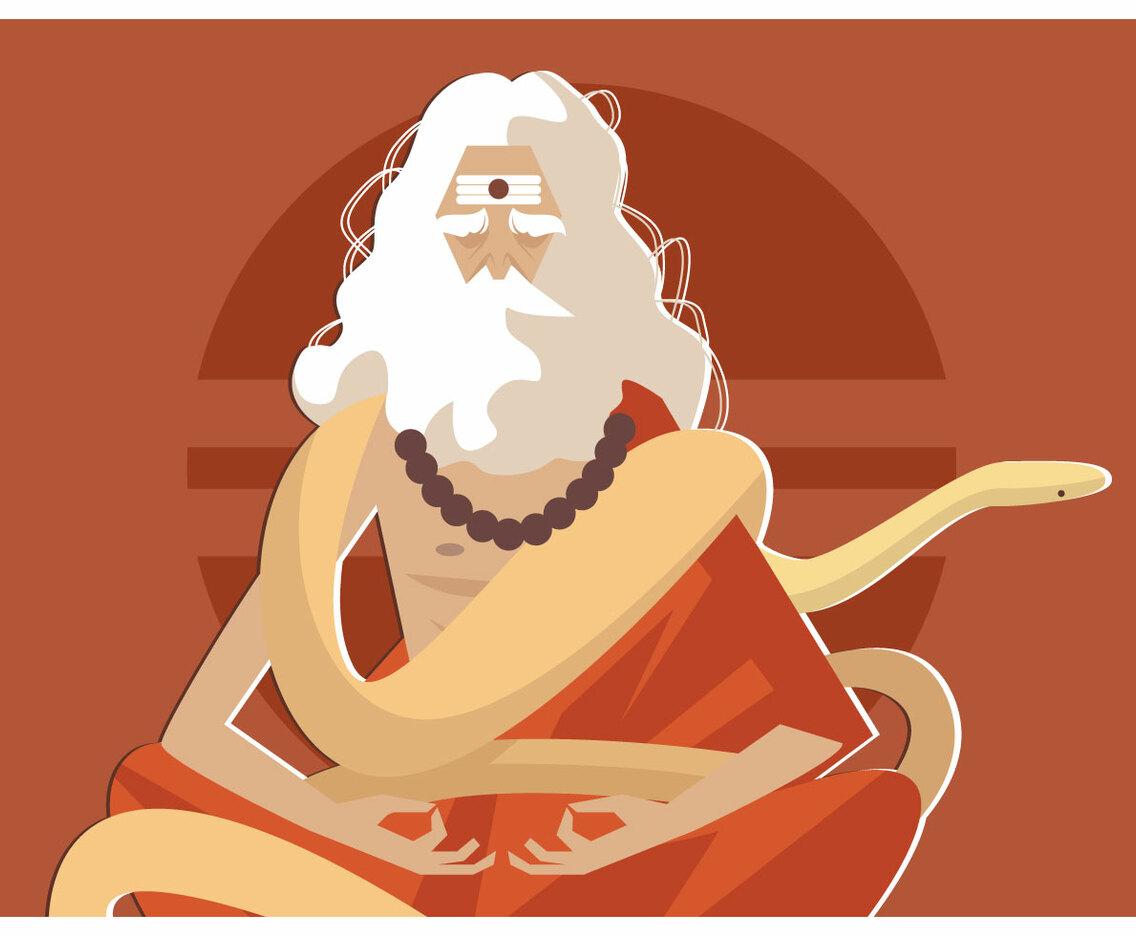 The Anaconda Guru Vector