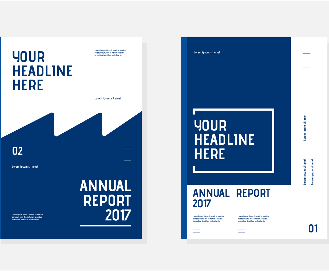 Annual Report Book Cover