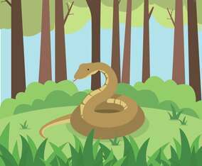 Free Anaconda Illustration