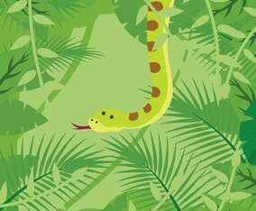 Anaconda On Forest Background