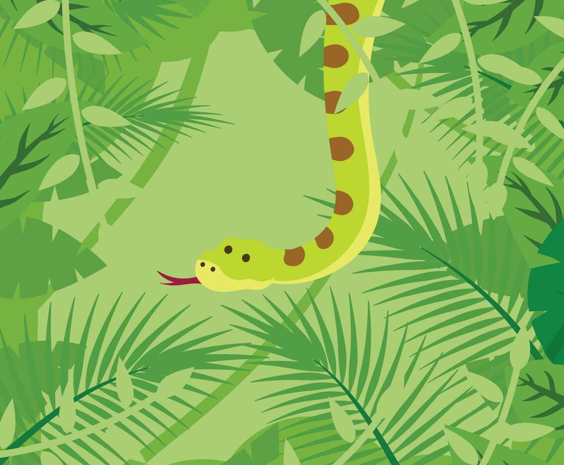 Anaconda On Forest Background