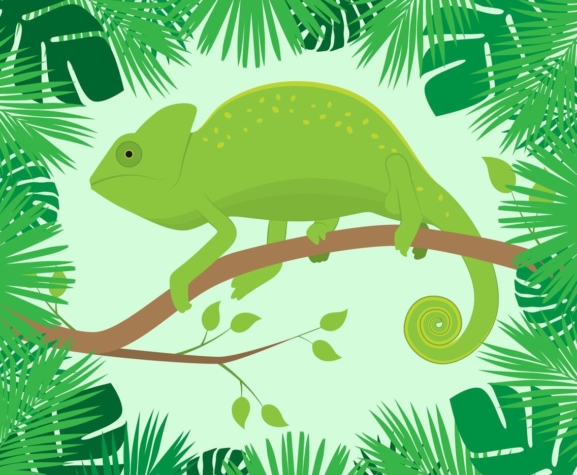Chameleon On A Branch Of Tropical Leaves Frame
